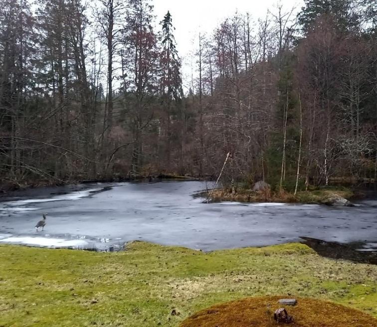 Gaeststuga I Vacker Natur, Bastu, Bubbelpool Sommartid Och Gratis Parkering Naera Ulricehamn Och Lassalyckan, Guesthouse With Nice View With Sauna And Free Parking Close To Dalsjoefors And Fishing Boras Luaran gambar